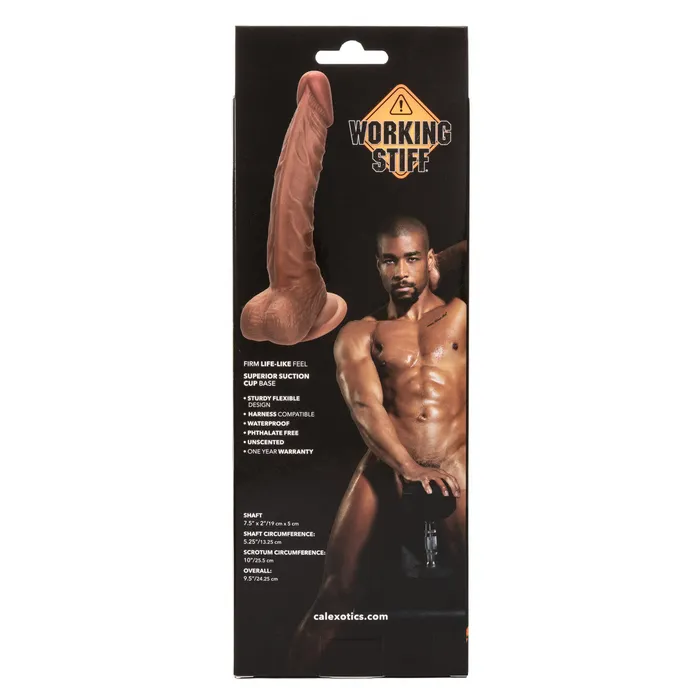 Calexotics Working Stiff The Personal Trainer Male Sex Toys