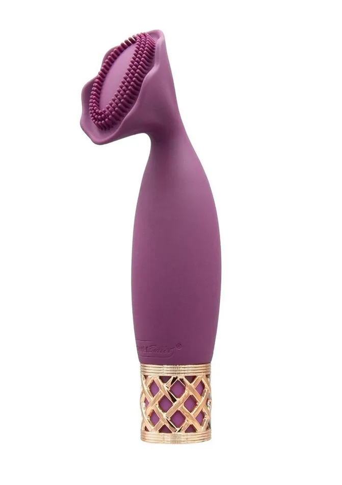 Female Sex Toys Pillow Talk Passion Rechargeable Silicone Massager WineRose Gold BMS