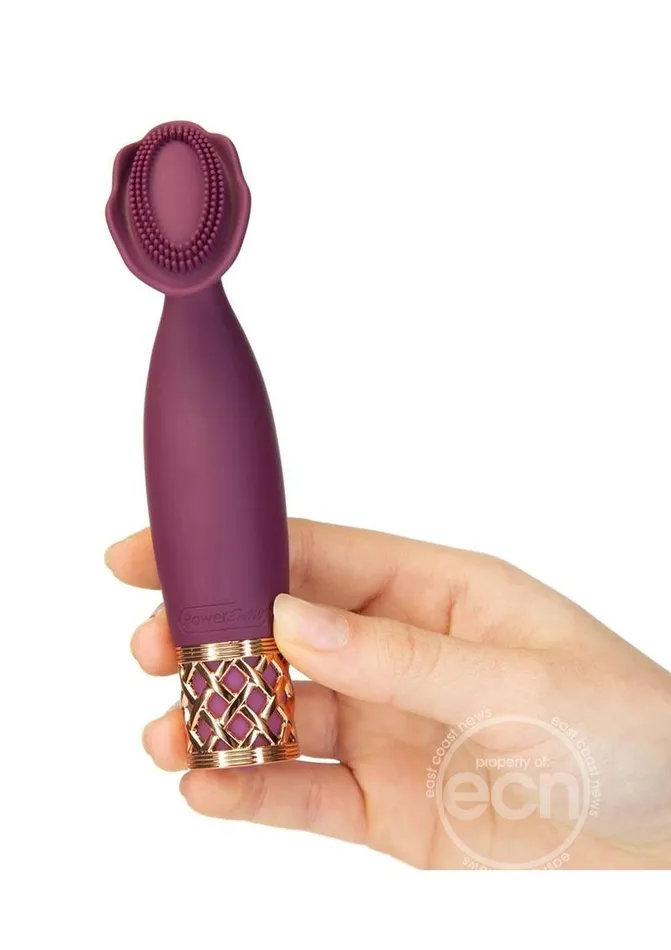 Female Sex Toys Pillow Talk Passion Rechargeable Silicone Massager WineRose Gold BMS