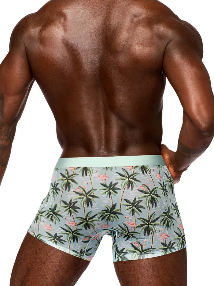Male Power Hosiery Sheer Prints Seamless Sheer Short XLarge Flamingo Male Power Hosiery Sheer Prints Seamless Sheer Short XLarge Flamingo