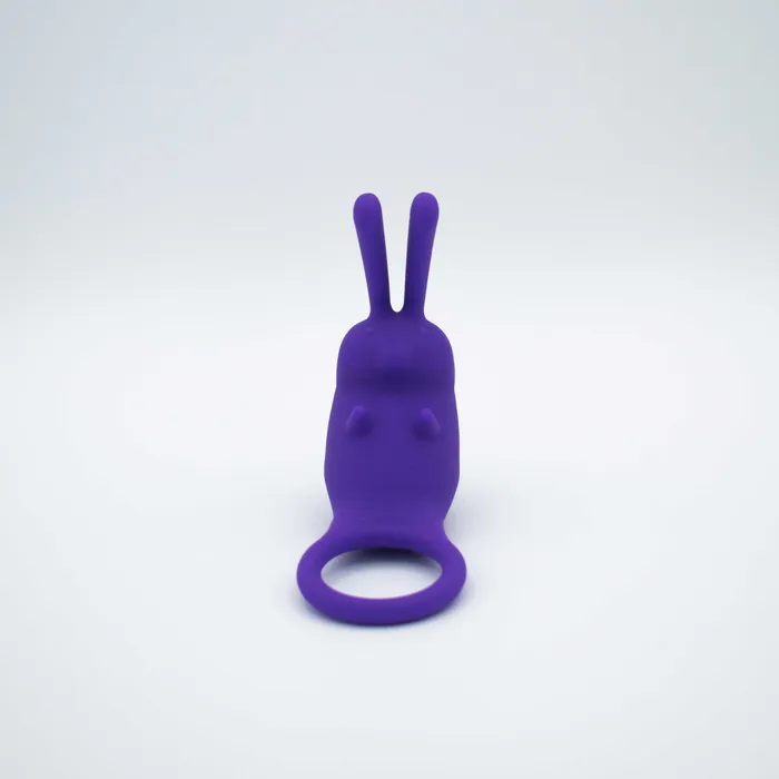 Natalies Toy Box Like A Kitten Vibrators The Cock Hopper Cock Ring and Bullet Vibrator Purple Natalies Toy Box Like A Kitten Vibrators The Cock Hopper Cock Ring and Bullet Vibrator Purple
