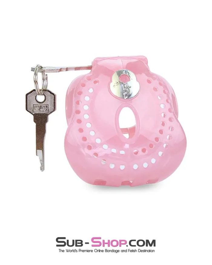 Aria Male Sex Toys 1587AR Small Sissy Dungeon Cage Pink High Security Full Coverage Male Chastity Device MEGA Deal Aria Male Sex Toys 1587AR Small Sissy Dungeon Cage Pink High Security Full Coverage Male Chastity Device MEGA Deal