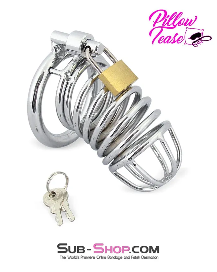 Male Sex Toys 3749M Cock Blocker Locking Steel Tease and Torment Chastity Cock Cage Moonwell