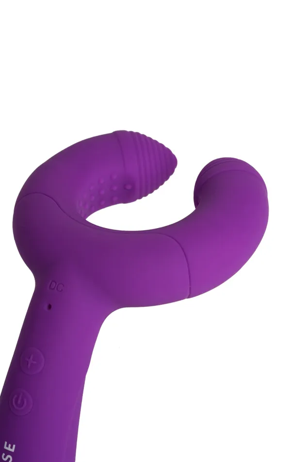 MySecretCase Mnage Moi Vibrators