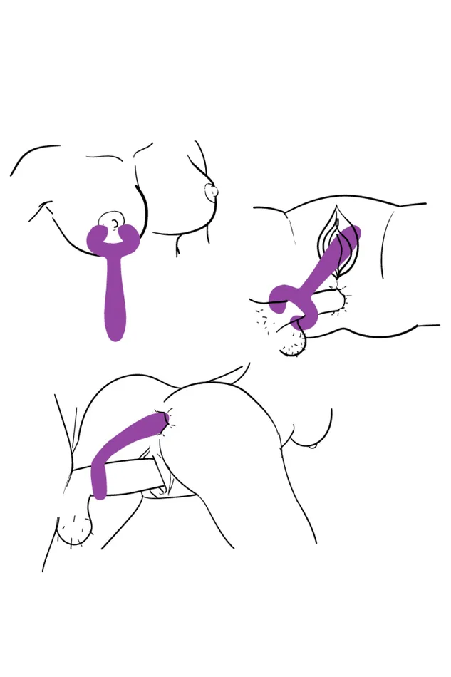 MySecretCase Mnage Moi Vibrators