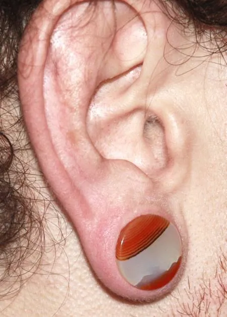 Anal Painful Pleasures Double Flare Red Agate Stone Plug Price Per Pair