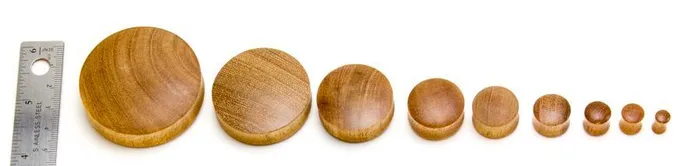 Elementals Organics Anal Intaran Wood Double Flared Plug Price Per 1