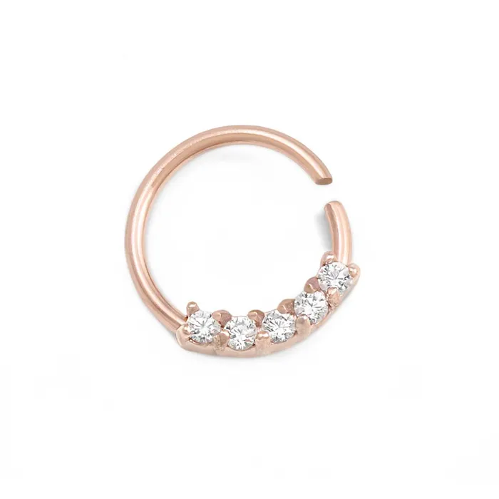 Male Sex Toys 16g Jewel Channel Bendable Ring Price Per 1 Painful Pleasures