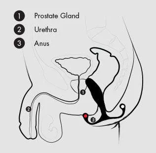 Male Sex Toys Aneros Aneros MGX Syn Trident HandsFree Prostate Stimulator