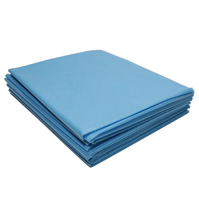 Painful Pleasures Anal Disposable Bed Sheets 40 x 90 Case of 50 Pick Color Painful Pleasures Anal Disposable Bed Sheets 40 x 90 Case of 50 Pick Color
