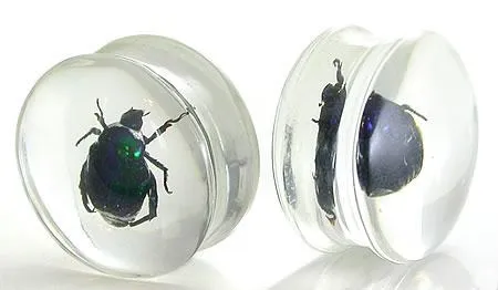 Painful Pleasures Anal Green Beetle Actual Green Bettle inside an Acrylic Plug 16mm24mm Price Per 1 Painful Pleasures Anal Green Beetle Actual Green Bettle inside an Acrylic Plug 16mm24mm Price Per 1