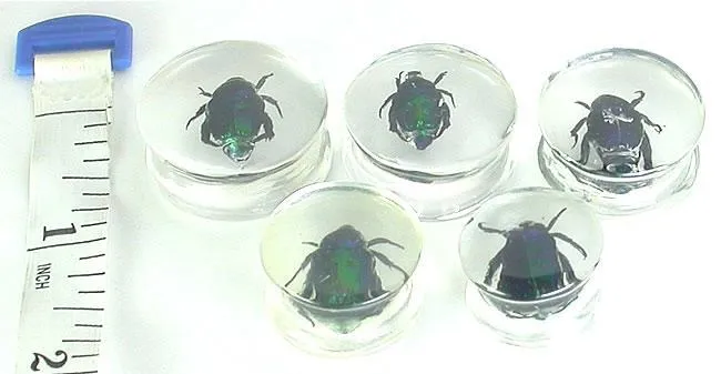 Painful Pleasures Anal Green Beetle Actual Green Bettle inside an Acrylic Plug 16mm24mm Price Per 1