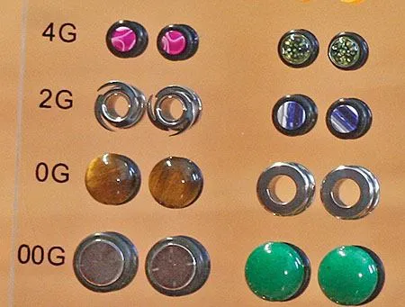 Painful Pleasures Plug Display Acrylic Stand Empty Holds 54 Plugs from 10g 12 Anal