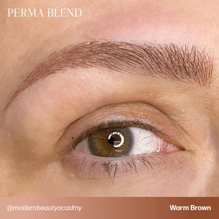 Perma Blend Anal SunKissed Palette Set Perma Blend 12oz