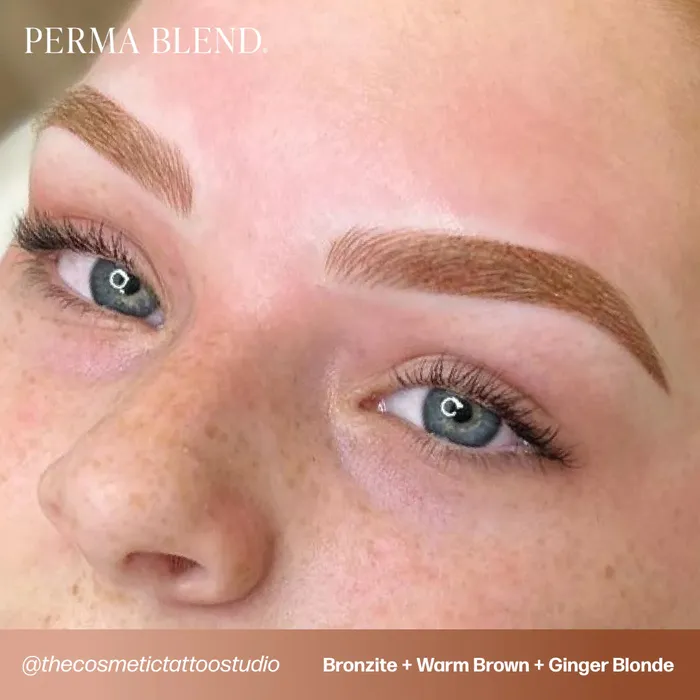 Perma Blend Anal SunKissed Palette Set Perma Blend 12oz