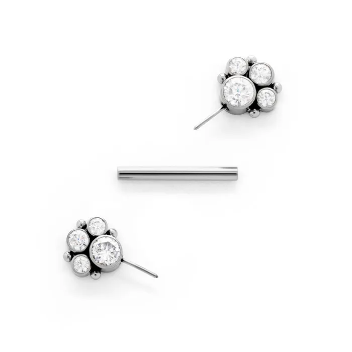 Tilum Tilum 14g 916 Jeweled Paw Print Titanium Threadless Nipple Barbell Nipple Clitoral Toys