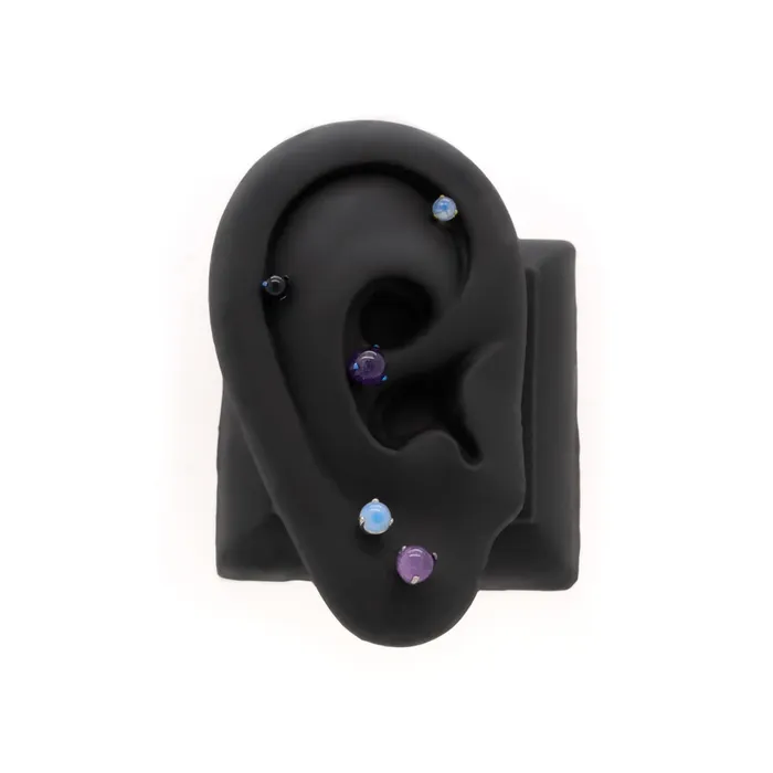 Titanium Threadless Top Pick Color and Size Price Per 1 Painful Pleasures Male Sex Toys