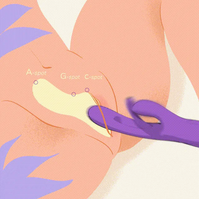 Vibrators Honey Play Box Bora GSpot Tapping Rabbit Vibrator Purple