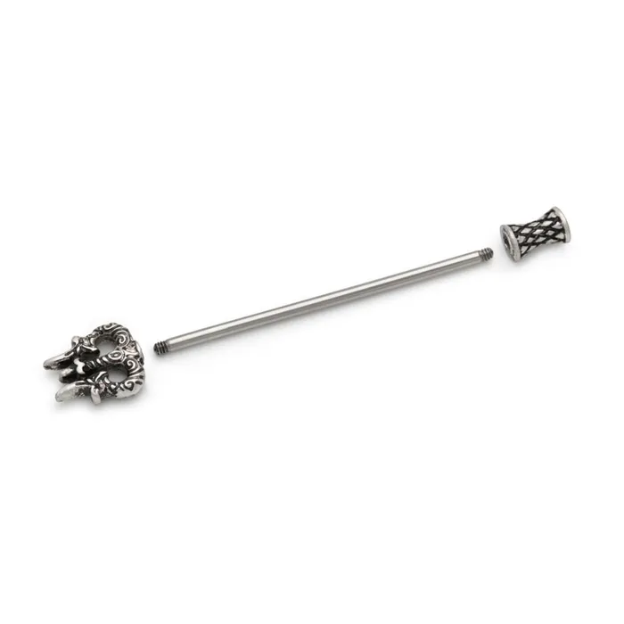 Vibrators Painful Pleasures 14g 112 Poseidons Trident Industrial Barbell